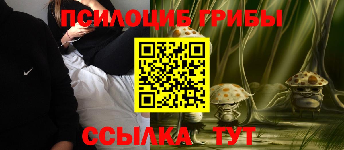 Галлюциногенные грибы Cubensis Владивосток